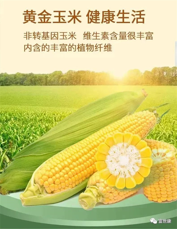 小麦胚玉米粥，吃出好“胃”道