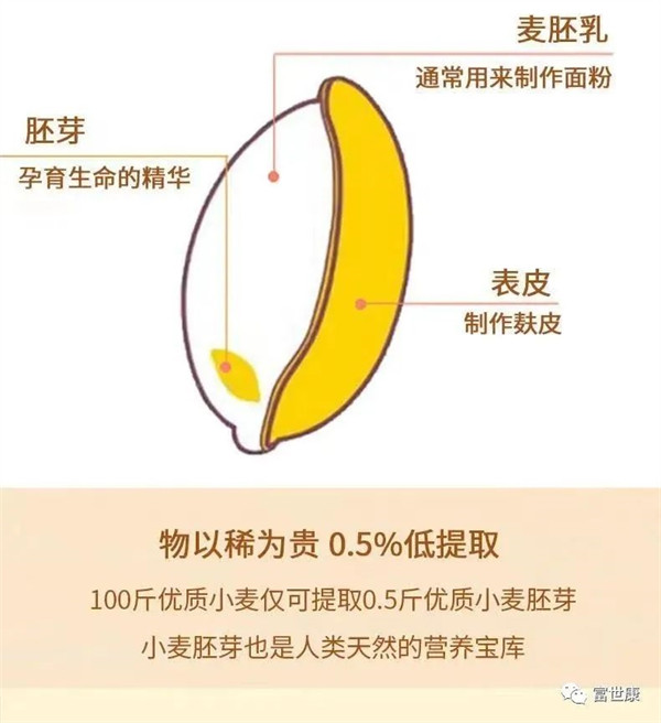 小麦胚玉米粥，吃出好“胃”道