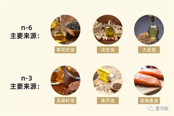 吃什么食物可以保护肠道？